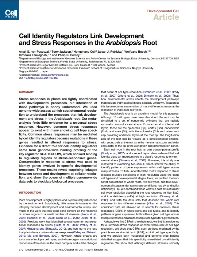2011 Cell identity regulators link development and stress responses in the Arabidopsis root